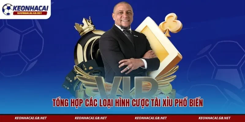 Tổng hợp các loại hình cược tài xỉu phổ biến Tổng hợp các loại hình cược tài xỉu phổ biến